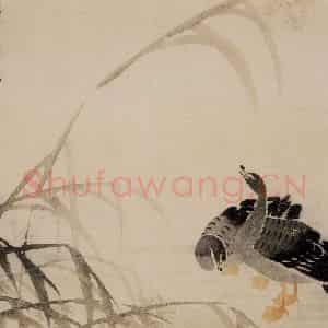 1749年 边寿民《芦雁册》国画花鸟写意作品图片鉴赏
