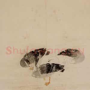 1749年 边寿民《芦雁册》国画花鸟写意作品图片鉴赏