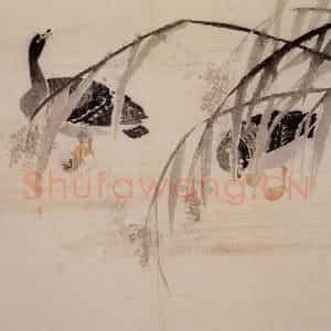 1749年 边寿民《芦雁册》国画花鸟写意作品图片鉴赏