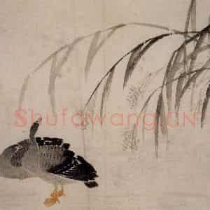 1749年 边寿民《芦雁册》国画花鸟写意作品图片鉴赏