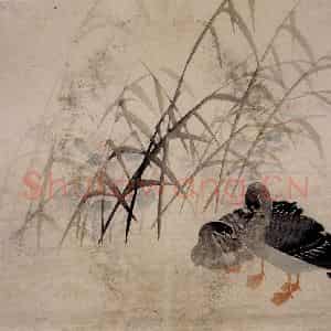 1749年 边寿民《芦雁册》国画花鸟写意作品图片鉴赏
