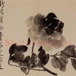 1751年 边寿民《花卉芦雁册》国画花鸟写意作品图片鉴赏