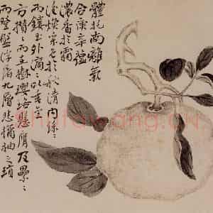 1751年 边寿民《花卉芦雁册》国画花鸟写意作品图片鉴赏