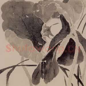 1751年 边寿民《花卉芦雁册》国画花鸟写意作品图片鉴赏