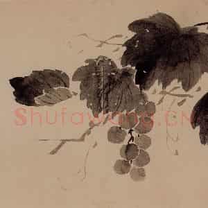 1751年 边寿民《花卉芦雁册》国画花鸟写意作品图片鉴赏