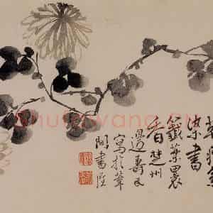 1751年 边寿民《花卉芦雁册》国画花鸟写意作品图片鉴赏