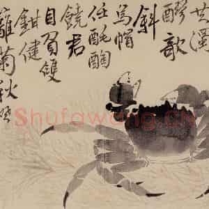 1751年 边寿民《花卉芦雁册》国画花鸟写意作品图片鉴赏