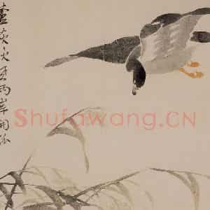 1751年 边寿民《花卉芦雁册》国画花鸟写意作品图片鉴赏