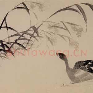 1751年 边寿民《花卉芦雁册》国画花鸟写意作品图片鉴赏