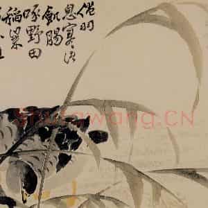 1751年 边寿民《花卉芦雁册》国画花鸟写意作品图片鉴赏