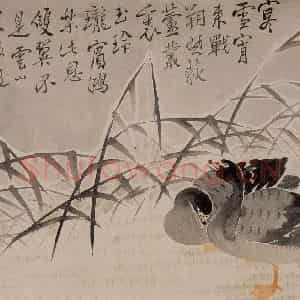 1751年 边寿民《花卉芦雁册》国画花鸟写意作品图片鉴赏