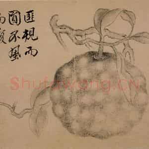 1751年 边寿民《杂画册》国画花鸟写意作品图片鉴赏