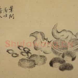 1751年 边寿民《杂画册》国画花鸟写意作品图片鉴赏