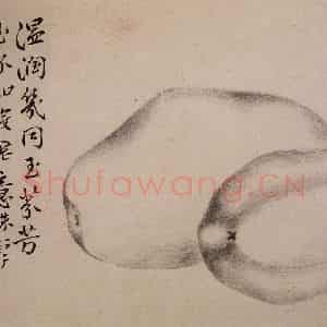 1751年 边寿民《杂画册》国画花鸟写意作品图片鉴赏