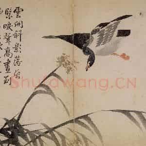 1751年 边寿民《杂画册》国画花鸟写意作品图片鉴赏
