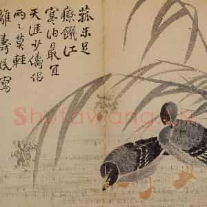 1751年 边寿民《杂画册》国画花鸟写意作品图片鉴赏