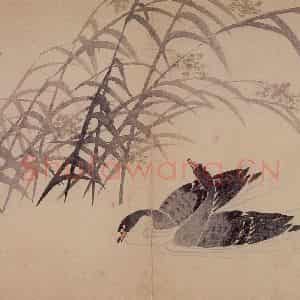 1751年 边寿民《杂画册》国画花鸟写意作品图片鉴赏