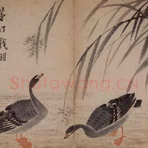 1751年 边寿民《杂画册》国画花鸟写意作品图片鉴赏
