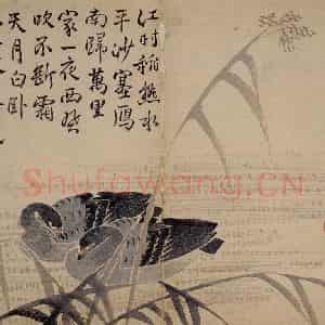 1751年 边寿民《杂画册》国画花鸟写意作品图片鉴赏