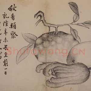 1751年 边寿民《杂画册》国画花鸟写意作品图片鉴赏