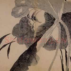 1751年 边寿民《杂画册》国画花鸟写意作品图片鉴赏