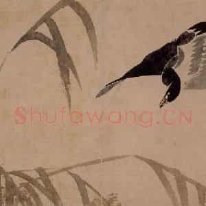 1751年 边寿民《杂画册》国画花鸟写意作品图片鉴赏
