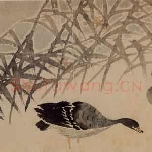1751年 边寿民《杂画册》国画花鸟写意作品图片鉴赏