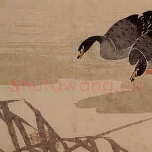 1751年 边寿民《杂画册》国画花鸟写意作品图片鉴赏