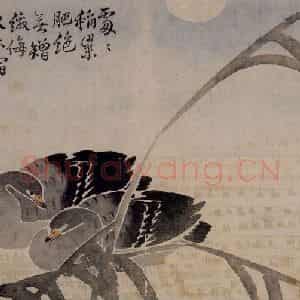 1751年 边寿民《杂画册》国画花鸟写意作品图片鉴赏
