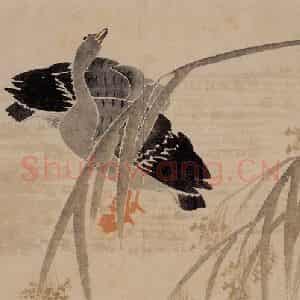 1751年 边寿民《杂画册》国画花鸟写意作品图片鉴赏
