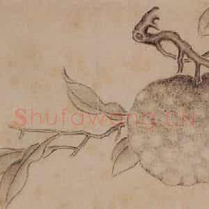 1751年 边寿民《杂画册》国画花鸟写意作品图片鉴赏