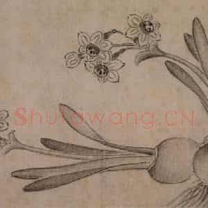 1751年 边寿民《杂画册》国画花鸟写意作品图片鉴赏