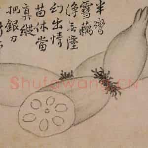 1751年 边寿民《杂画册》国画花鸟写意作品图片鉴赏