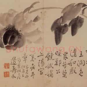 清代 边寿民《花卉册》国画花鸟写意作品图片鉴赏