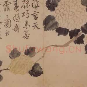 清代 边寿民《花卉册》国画花鸟写意作品图片鉴赏