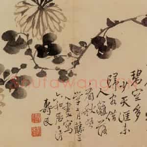 清代 边寿民《花卉册》国画花鸟写意作品图片鉴赏