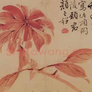 清代 边寿民《花卉册》国画花鸟写意作品图片鉴赏