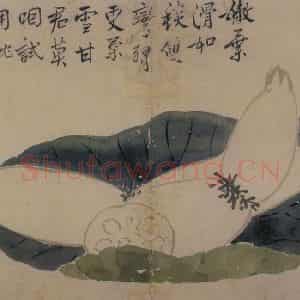 清代 边寿民《花卉册》国画花鸟写意作品图片鉴赏