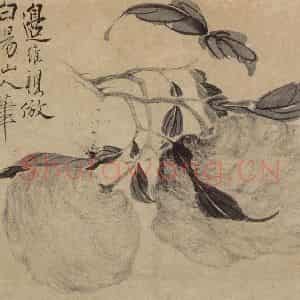 清代 边寿民《瓜果图》国画花鸟写意作品图片鉴赏