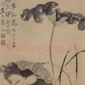 清代 边寿民《荷花图》国画花鸟写意作品图片鉴赏