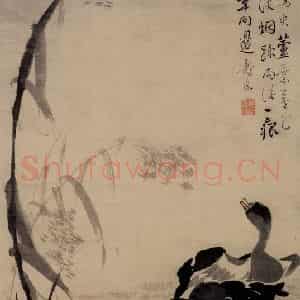 清代 边寿民《芦雁图》国画花鸟写意作品图片鉴赏