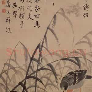 清代 边寿民《芦雁图》国画花鸟写意作品图片鉴赏