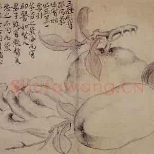 清代 边寿民《白描花果册》国画花鸟写意作品图片鉴赏