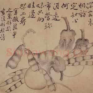 清代 边寿民《白描花果册》国画花鸟写意作品图片鉴赏
