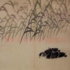 清代 边寿民《芦雁图册》国画花鸟写意作品图片鉴赏