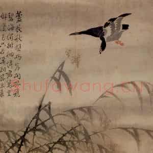 清代 边寿民《芦雁图册》国画花鸟写意作品图片鉴赏