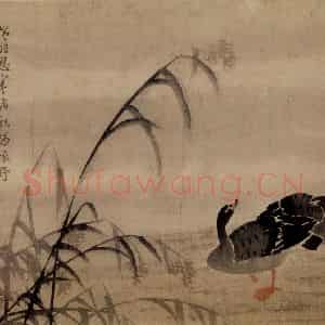 清代 边寿民《芦雁图册》国画花鸟写意作品图片鉴赏