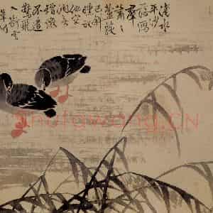 清代 边寿民《芦雁图册》国画花鸟写意作品图片鉴赏
