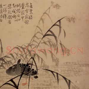清代 边寿民《芦雁图册》国画花鸟写意作品图片鉴赏