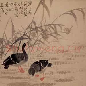 清代 边寿民《芦雁图册》国画花鸟写意作品图片鉴赏